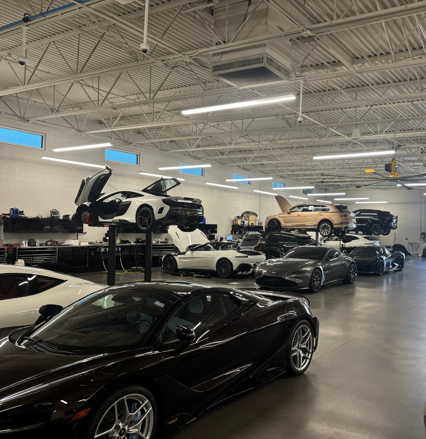 Vehicles raised on two-post lifts in Blue Wave Lift & Equipment's Tampa service bay